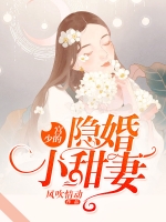 ���ٵ�����С����