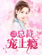 һ�������ܲó����