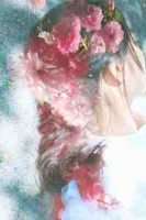 ����������Ѫ����