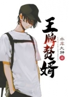 ����׸���Կ�