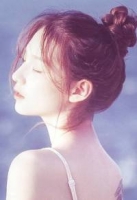 ����������ŵ��