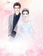 ��������ܲú����С˵