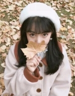 �������ĸ������