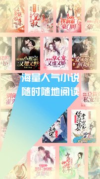 ����С˵������