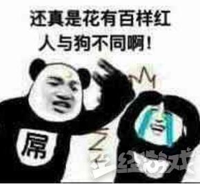 ��ʬ��ս��èè����Щ�����Լ���Ϸ����˾���������û�еĻ���