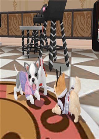 С��������ԤԼ���� ���������ۼ����ֶ�