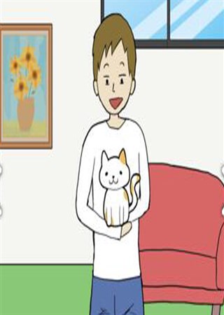 ���ҵ�è�����Ķ�����������һ���ϸ�Ĳ�ʺ��