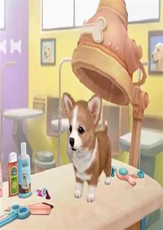 ϲ��С����ȴ��������ô�죿���װ����������