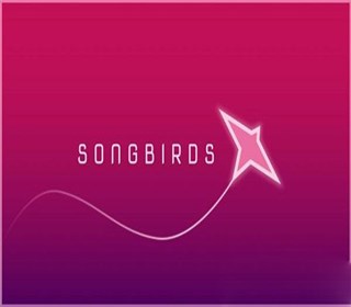�ڡ�Songbirds��������Ⱥ�������������