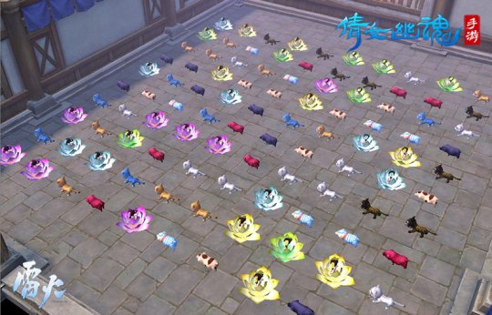 ��������淨���ߣ� ӭ˫ʮһٻŮ���κ��������