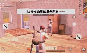 ����Ұ�ж������Ҳ���ж��A+���˶�������