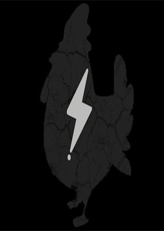 �Լ����β��Ӷࣿ��Ѷ�³Լ�����12��1�չ���