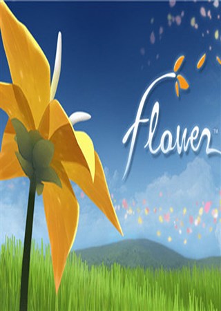 ���Ǻ�����֮��flower iOS������ʱ�ۿ�