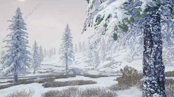 ����ѫ��ѩ����ѵ�������ģ��ٷ�ָ����ڷ���[��ͼ]