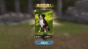 �󺽺�֮·��������׽�����ﲶ׽λ�����[��ͼ]