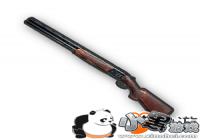 ��������ȫ����������ǹʹ�ü���