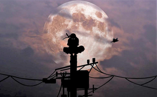 ��Ӱ����ů�ķ��� ���ѵĻ������ػ�����ʵ