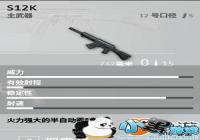 ��������ȫ����������ǹS12Kͼ�� ʹ�ü��ɽ���