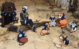 ��Ӱ�����̵���ֹ���5������ ���һ������������