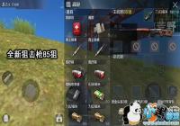 ����ʹ��85�����ܽ�����ʵս�������