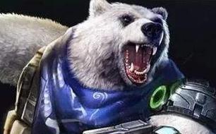 �궷�޹��������������估������·����