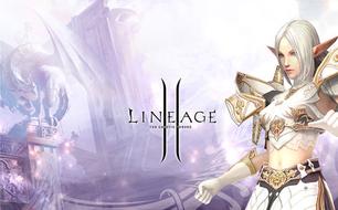 ����2Ѫ��ƽ��װ����ô���� ƽ��װ����������