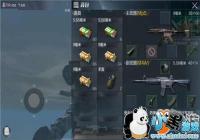 ����ʹ��M4A1��81-1���ѡ�� ��ǹ���ӷ���