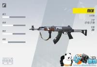 �ս���2��ǹAKM���ܽ��� AKMͼ��һ��