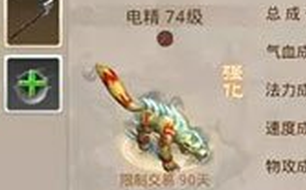 �ʵ����γ�����ô�㻯 �����ھ����Ǳ��