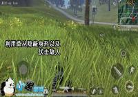 ������ʹ�����ݴԵ����淨����