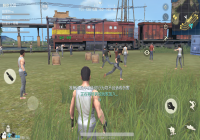 ����Ұ�ж�������ս��ʵս����