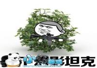 ����Ұ�ж���������ĵ÷���