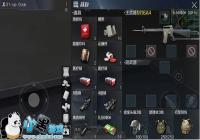 ������ʹ����M16A4ʹ�ü��ɹ���