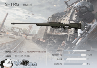 ����Ұ�ж����ѻ�ǹS-TRG��ô�� �ѻ�ǹS-TRG�����ص�