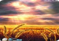 FGOFZ����Ӣ��ʮ���װ���� FZ�Ӣ�����װ ��֮��ʾ����һ��