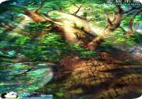 FGOFZ����Ӣ��ʮ���װ���� FZ�Ӣ�����װ ɭ��֮ʥ����һ��
