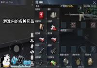 ������ʹ����ҩƷ����ʹ�ü��ɹ���