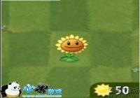 ֲ���ս��ʬ2ֲ�����տ�ͼ������