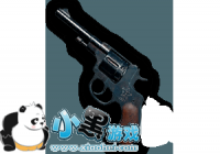 ������ʹ��ʹ���ж�����ǹR1895�������