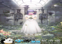 fgo�޶�������װHeaven's Feel���ּ�ֵ����