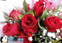 ���˽���Ů��ʲô����  С�������ѡ2014���˽�����