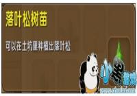 ����������Ҷ��������ô�� ��Ҷ�������������ϻ���