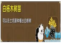 �������������ľ������ô�� ����ľ�����������ϻ���