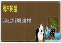 ���������ľ������ô�� �ľ�����������ϻ���