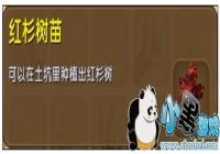 ���������ɼ������ô�� ��ɼ�����������ϻ���