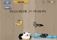 �������Ҷ�13���� �ҳ�������������