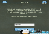 �������ֲ���4 11���� �������ֲ���4��11����ô��