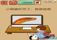 С���Ż��˾Ⱦ����� ΢���������Ҷ�X6����