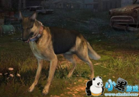 ֮ﹷôѡ ֮ﹷѡĸȽϺ