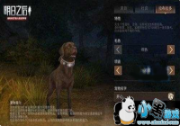 ֮ѡʲô ֮ʲôȮȽϺ